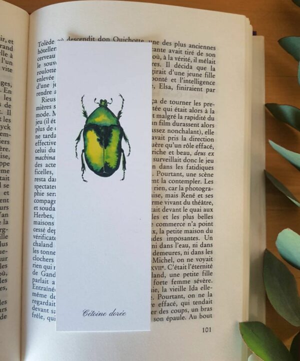 Marque page Cétoine